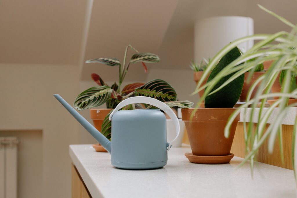Self-watering planter with healthy plants