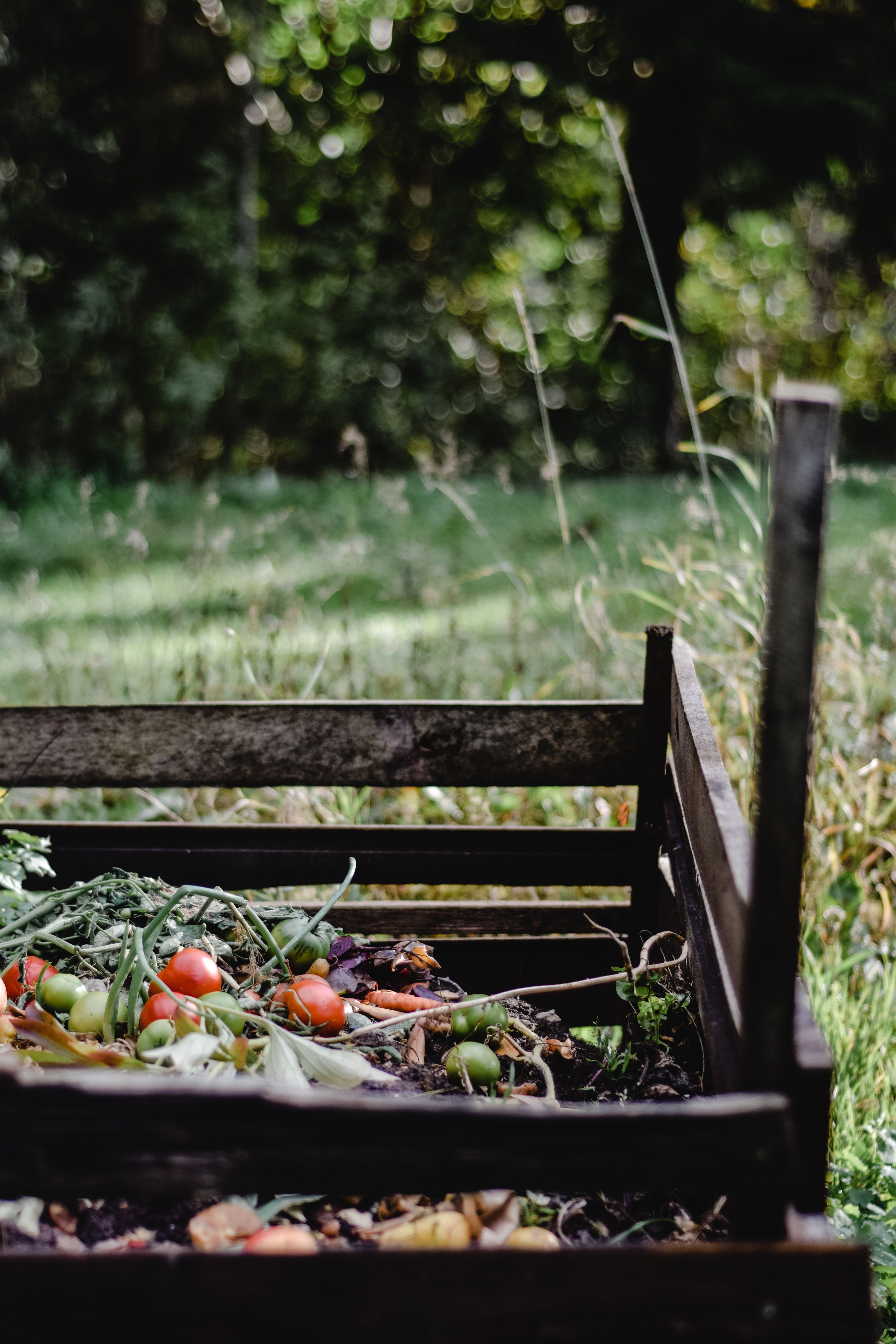 Gardening inspiration