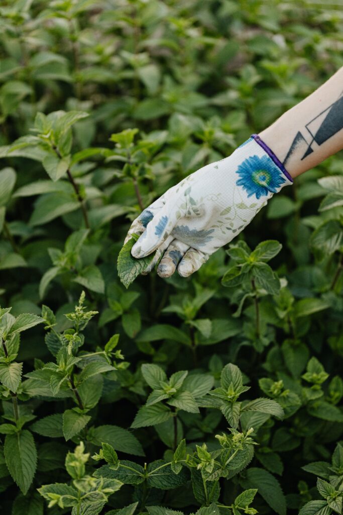 Gardening gloves